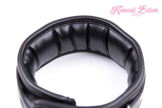 Stuffed Black Collar & Leash Set (1227486396468)