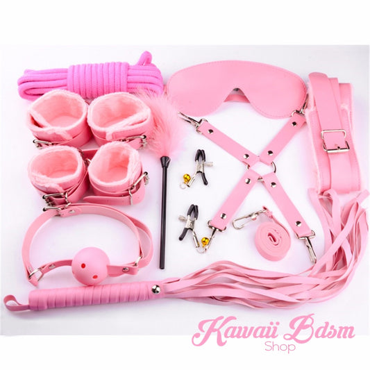Bdsm kit Set 10 pcs gag hand cuffs collar leash ankle cuffs whip paddle nipple clamps feather rope shibari bondage cute pink aesthetic ddlg cglg mdlg ddlb mdlb little submissive restraints sex couple by Kawaii BDSM - cute and kinky / Worldwide Free Shipping (10886456391)
