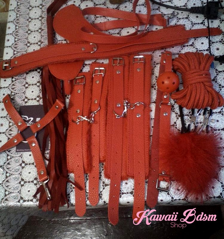Bdsm kit Set 10 pcs gag hand cuffs collar leash ankle cuffs whip paddle nipple clamps feather rope shibari bondage cute red fetish aesthetic ddlg cglg mdlg ddlb mdlb little submissive restraints sex couple by Kawaii BDSM - cute and kinky / Worldwide Free Shipping (10992282183)