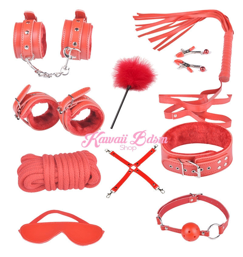 Bdsm kit Set 10 pcs gag hand cuffs collar leash ankle cuffs whip paddle nipple clamps  feather rope shibari bondage cute red fetish aesthetic ddlg cglg mdlg ddlb mdlb little submissive restraints sex couple by Kawaii BDSM - cute and kinky / Worldwide Free Shipping (10992282183)
