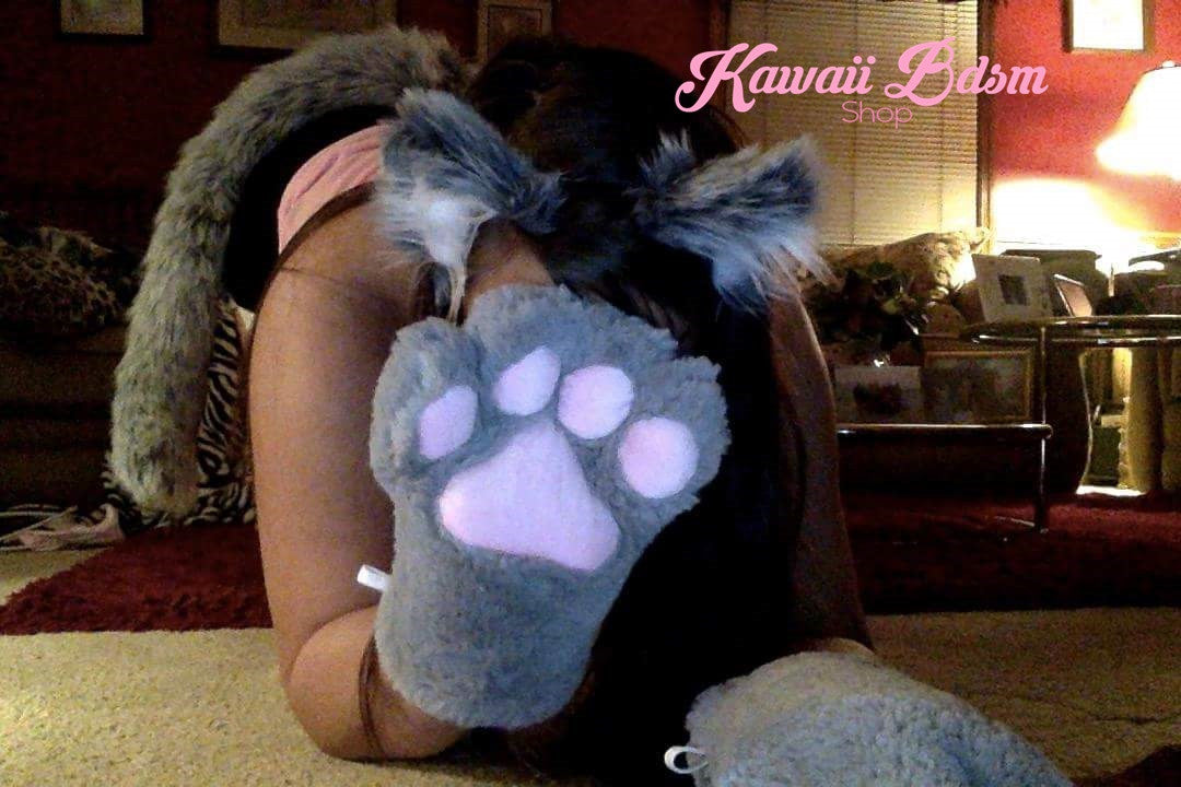 Kitten Set (10946812743)