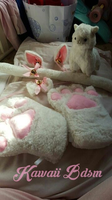 Kitten Set (10946812743)