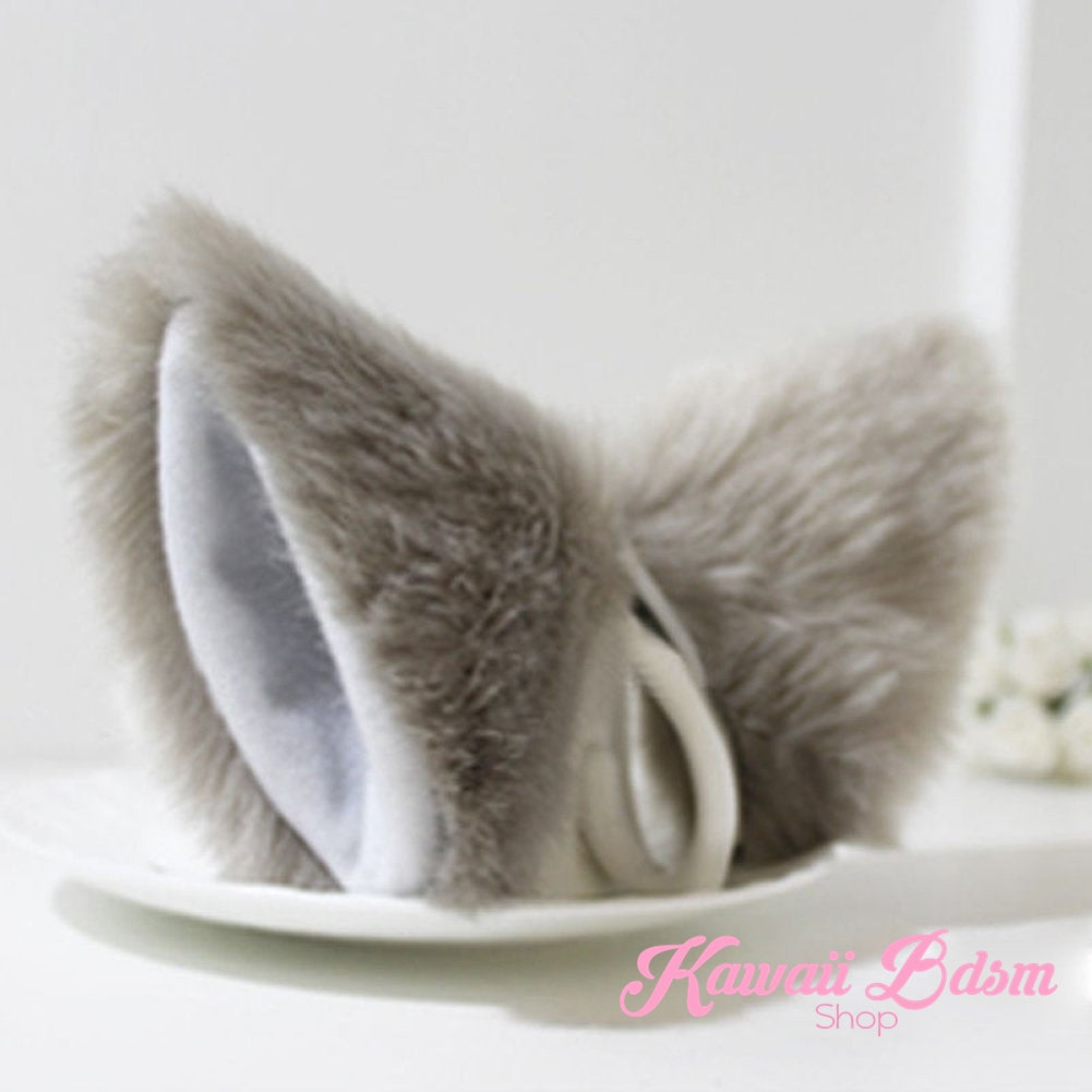 Classic Ears (11622027207)