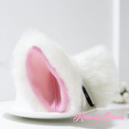Classic Ears (11622027207)