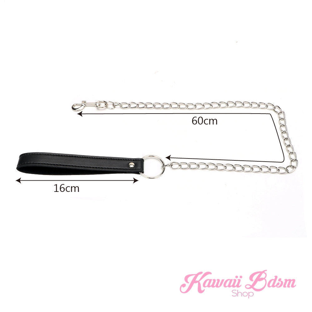 Chain Leashes (11033856839)