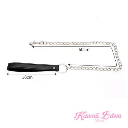 Chain Leashes (11033856839)