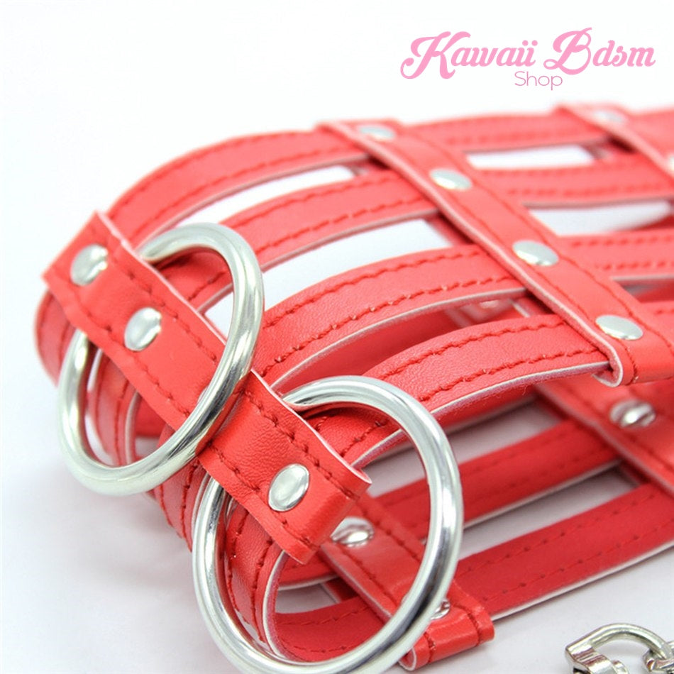 Lima Collar & Leash Set (1227489181748)