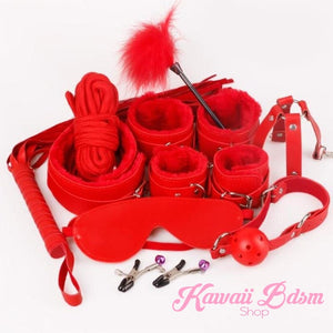 Bdsm kit Set 10 pcs gag hand cuffs collar leash ankle cuffs whip paddle nipple clamps  feather rope shibari bondage cute red fetish aesthetic ddlg cglg mdlg ddlb mdlb little submissive restraints sex couple by Kawaii BDSM - cute and kinky / Worldwide Free Shipping (10992282183)