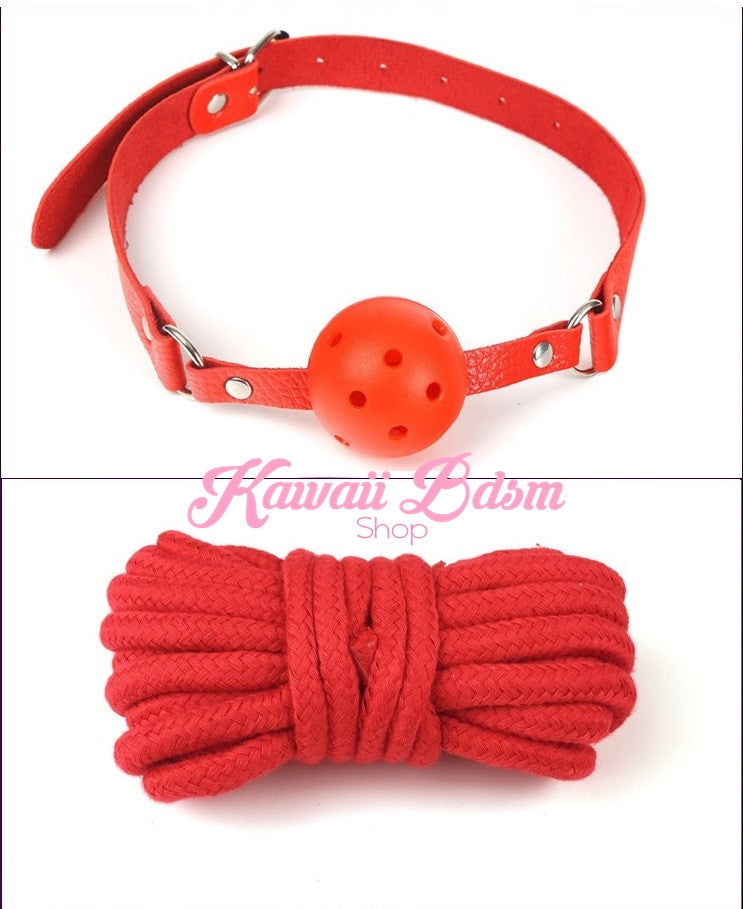 Bdsm kit Set 10 pcs gag hand cuffs collar leash ankle cuffs whip paddle nipple clamps  feather rope shibari bondage cute red fetish aesthetic ddlg cglg mdlg ddlb mdlb little submissive restraints sex couple by Kawaii BDSM - cute and kinky / Worldwide Free Shipping (10992282183)