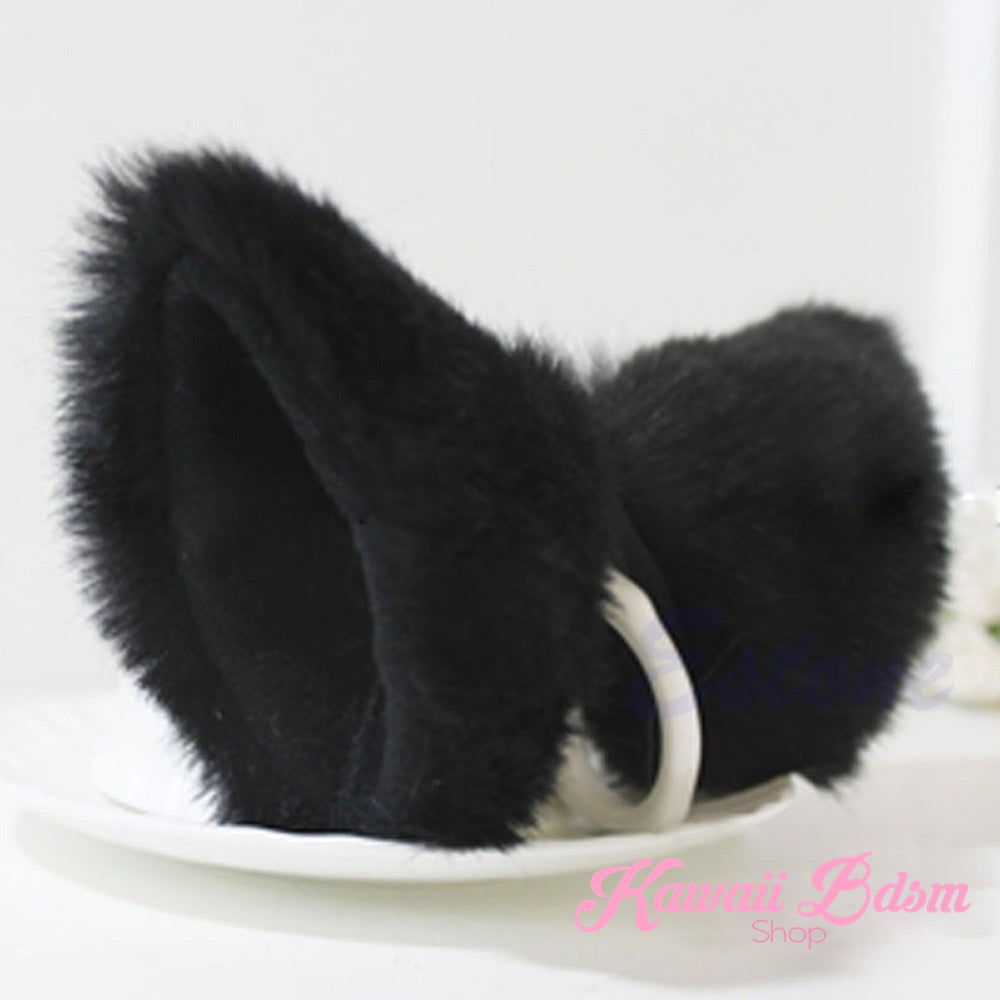 Classic Ears (11622027207)