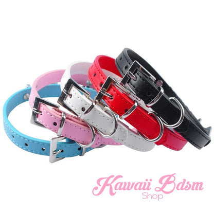 Custom Name Collars (10886494983)