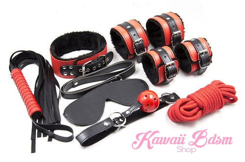 Bdsm kit Set 8 pcs Luxury Premium Superior Quality gag hand cuffs collar leash ankle cuffs whip paddle vegan leather bondage cute black red fetish aesthetic ddlg cglg mdlg ddlb mdlb little submissive restraints sex couple by Kawaii BDSM - cute and kinky / Worldwide Free Shipping (11034746631)