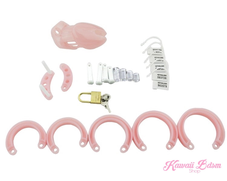 cock cage chastity men penis slave sub submissive dom femdom male sexy fetish sissy pink black degradation kink couple by Kawaii BDSM - cute and kinky / Worldwide Free Shipping  (4453566316596)