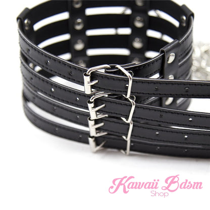 Lima Collar & Leash Set (1227489181748)