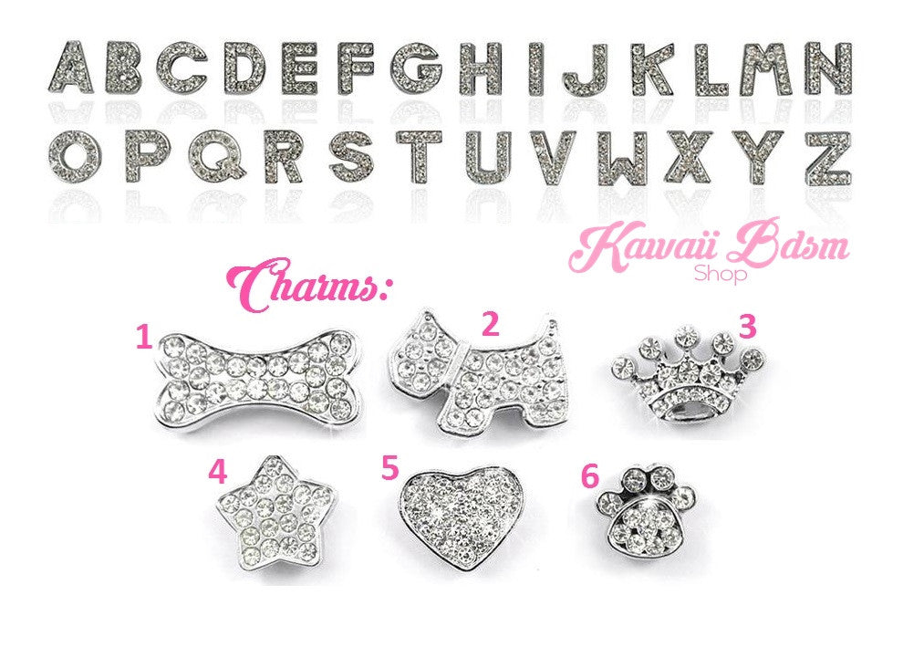 Custom Name Collars (10886494983)