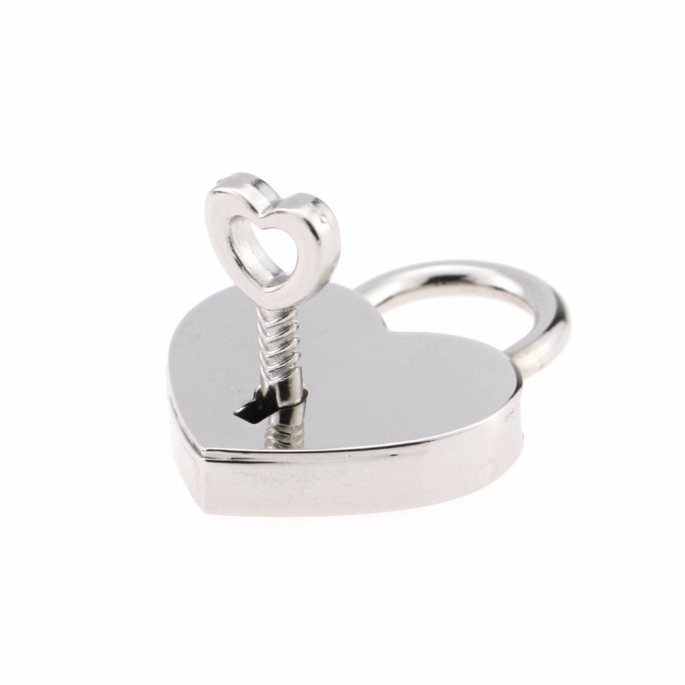Heart Padlock Day collar (10887257735)