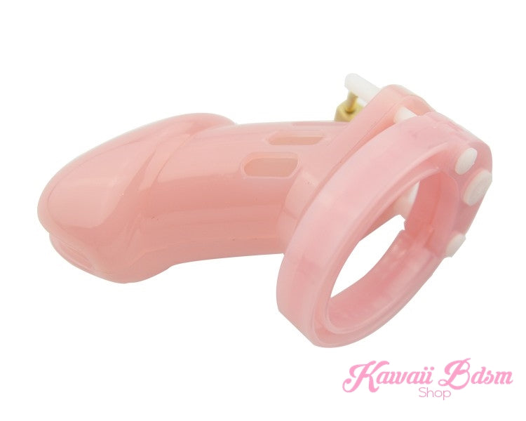 cock cage chastity men penis slave sub submissive dom femdom male sexy fetish sissy pink black degradation kink couple by Kawaii BDSM - cute and kinky / Worldwide Free Shipping  (4453566316596)