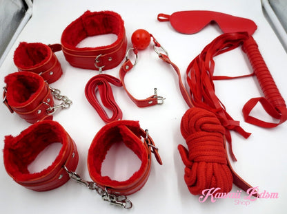 Bdsm kit Set 10 pcs pet bone gag hand cuffs collar leash ankle cuffs whip paddle nipple clamps  feather rope shibari bondage cute red aesthetic ddlg cglg mdlg ddlb mdlb little submissive restraints sex couple by Kawaii BDSM - cute and kinky / Worldwide Free Shipping (11017490567)