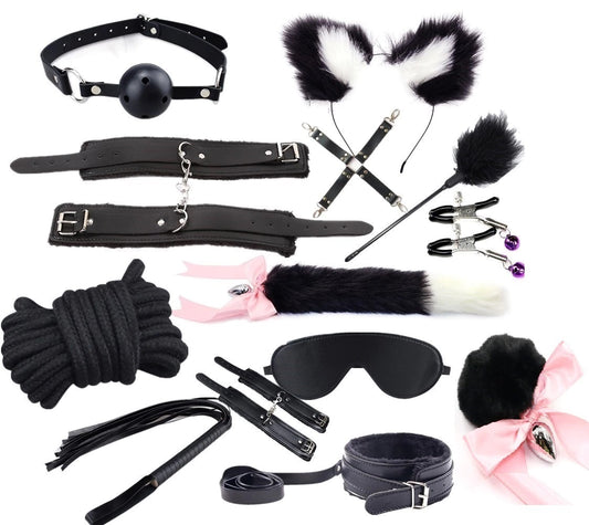 Naughty Pet 13Pcs Bondage Kit (4518037585972)