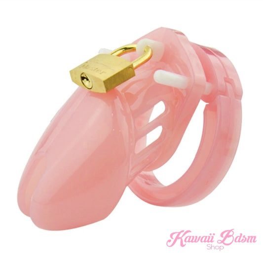 cock cage chastity men penis slave sub submissive dom femdom male sexy fetish sissy pink black degradation kink couple by Kawaii BDSM - cute and kinky / Worldwide Free Shipping  (4453566316596)