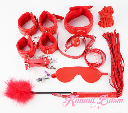 Complete red 10-piece bondage kit with ropes, blindfold, and nipple clamps neatly arranged.