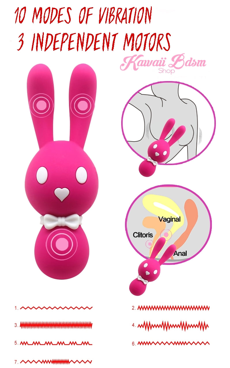An infographic of the hot pink Mitzi bunny vibrator pointing out its functional features, including the bendable ears and three control buttons.