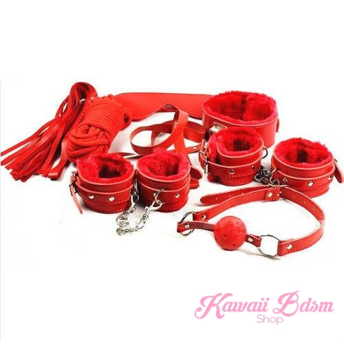 Bdsm kit Set 10 pcs pet bone gag hand cuffs collar leash ankle cuffs whip paddle nipple clamps  feather rope shibari bondage cute red aesthetic ddlg cglg mdlg ddlb mdlb little submissive restraints sex couple by Kawaii BDSM - cute and kinky / Worldwide Free Shipping (11017490567)