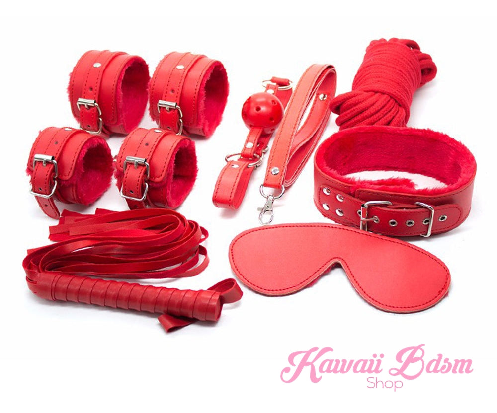 Bdsm kit Set 10 pcs pet bone gag hand cuffs collar leash ankle cuffs whip paddle nipple clamps  feather rope shibari bondage cute red aesthetic ddlg cglg mdlg ddlb mdlb little submissive restraints sex couple by Kawaii BDSM - cute and kinky / Worldwide Free Shipping (11017490567)