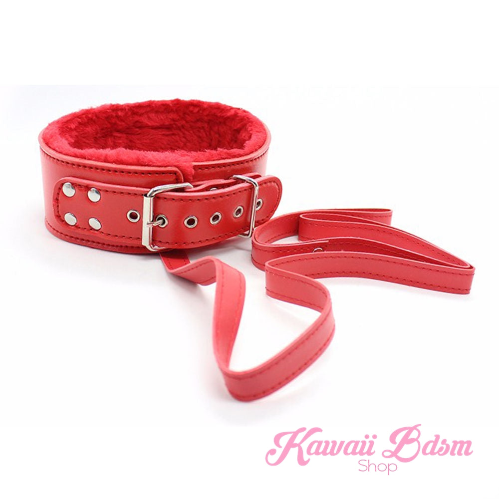 Bdsm kit Set 10 pcs pet bone gag hand cuffs collar leash ankle cuffs whip paddle nipple clamps  feather rope shibari bondage cute red aesthetic ddlg cglg mdlg ddlb mdlb little submissive restraints sex couple by Kawaii BDSM - cute and kinky / Worldwide Free Shipping (11017490567)