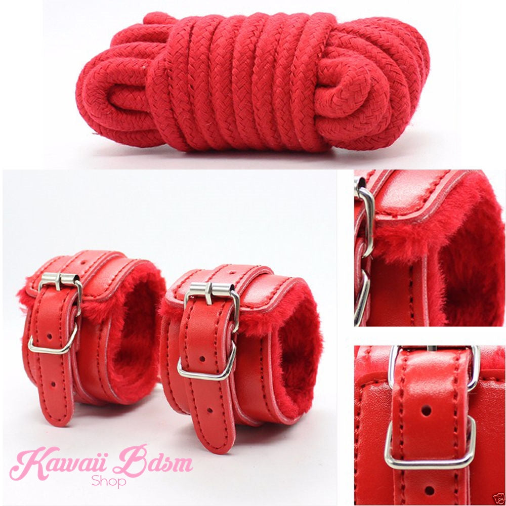 Bdsm kit Set 10 pcs pet bone gag hand cuffs collar leash ankle cuffs whip paddle nipple clamps  feather rope shibari bondage cute red aesthetic ddlg cglg mdlg ddlb mdlb little submissive restraints sex couple by Kawaii BDSM - cute and kinky / Worldwide Free Shipping (11017490567)