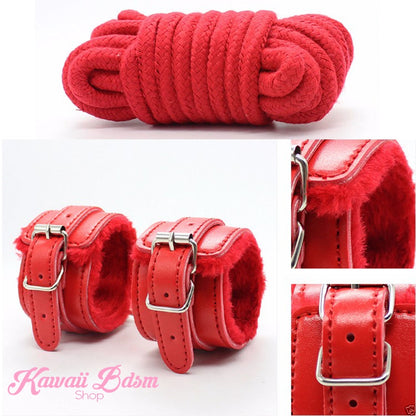Bdsm kit Set 10 pcs pet bone gag hand cuffs collar leash ankle cuffs whip paddle nipple clamps  feather rope shibari bondage cute red aesthetic ddlg cglg mdlg ddlb mdlb little submissive restraints sex couple by Kawaii BDSM - cute and kinky / Worldwide Free Shipping (11017490567)